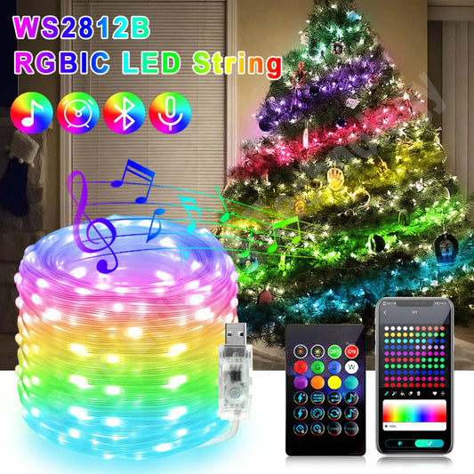 Smart RGBIC Fairy Lights Music Dream Color 1m-50m LED StripAmbient Lighting