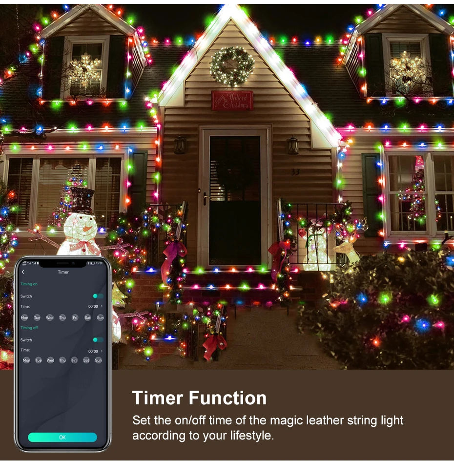 Smart RGBIC Fairy Lights Music Dream Color 1m-50m LED StripAmbient Lighting